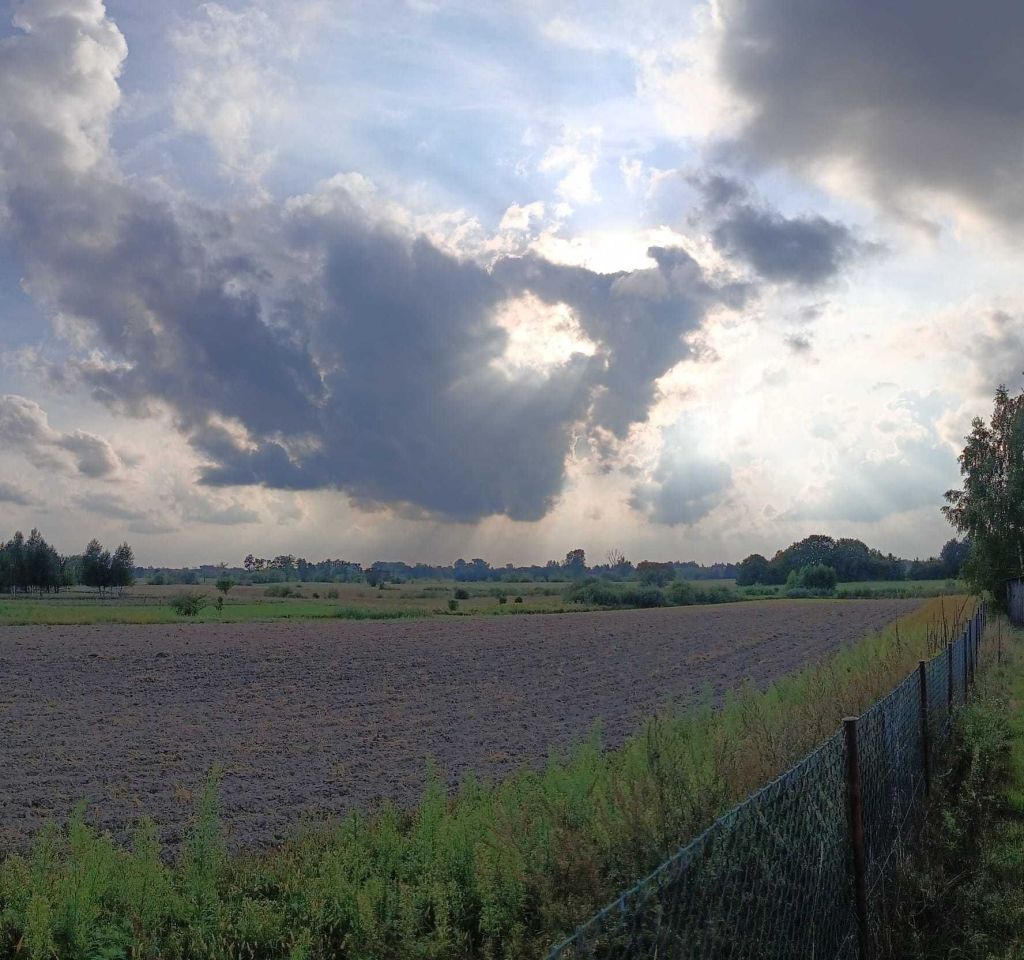 Działka budowlana Pałecznica-Kolonia. Zdjęcie 4