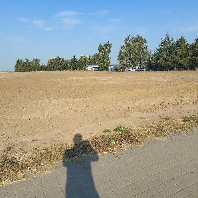 Działka budowlana Żalno. Zdjęcie 3