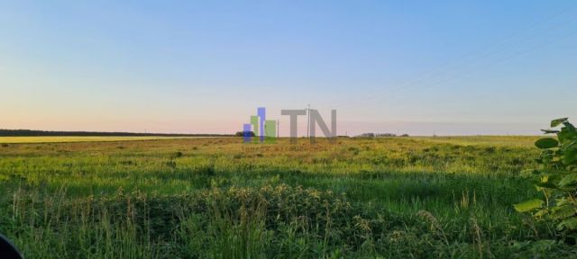 Działka inwestycyjna Ratowice. Zdjęcie 2