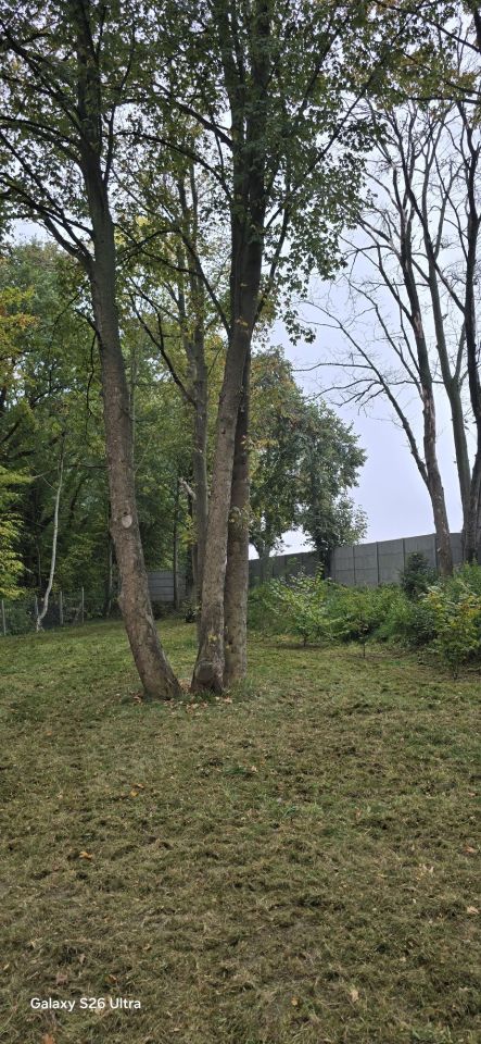 Działka budowlana Parlino. Zdjęcie 8