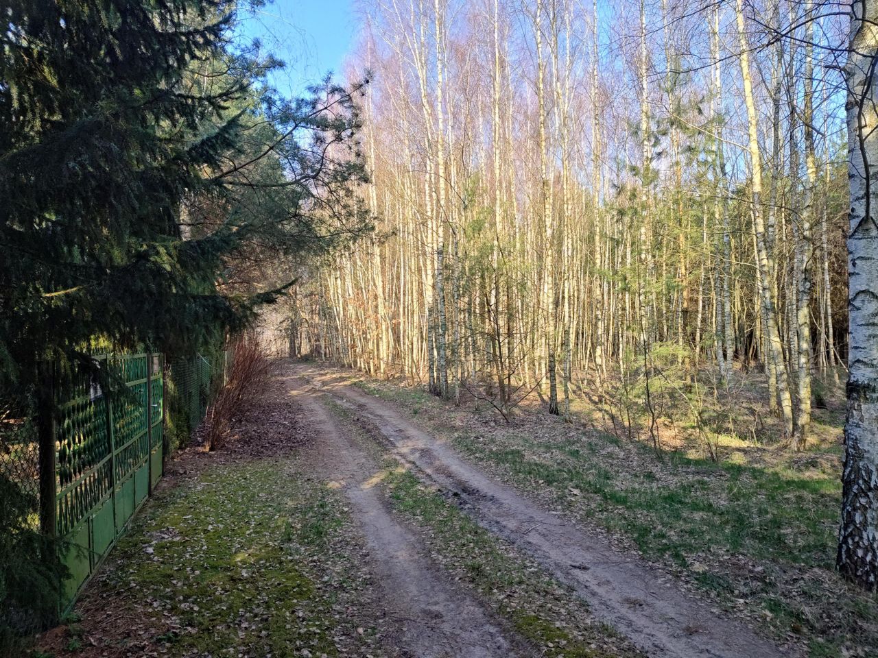 Działka rolna Wszebory. Zdjęcie 3