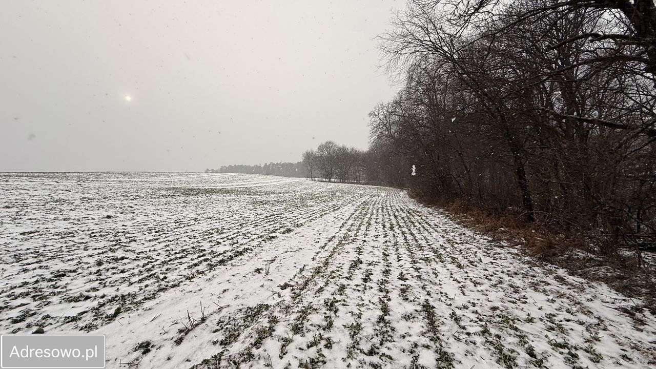 Działka budowlana Ostromecko. Zdjęcie 14