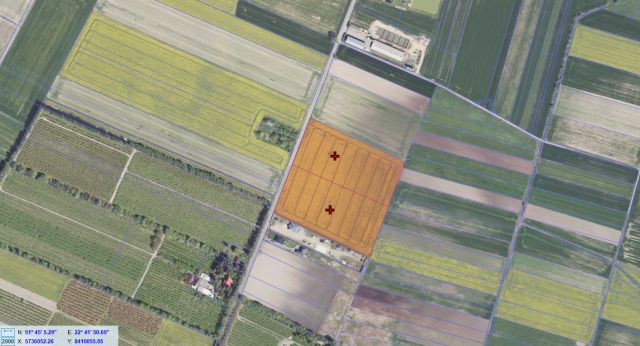 Działka siedliskowa Branica Radzyńska. Zdjęcie 1