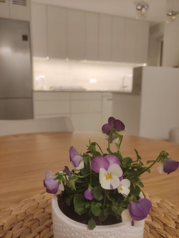 Mieszkanie 4-pokojowe Kraków Krowodrza, ul. Józefa Friedleina. Zdjęcie 13