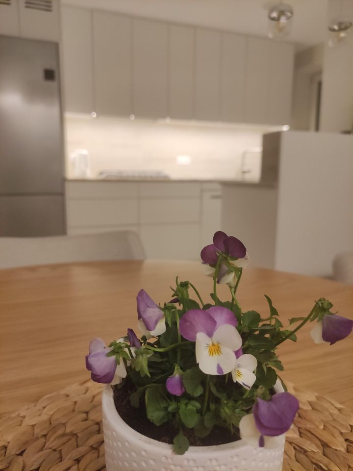 Mieszkanie 4-pokojowe Kraków Krowodrza, ul. Józefa Friedleina. Zdjęcie 13