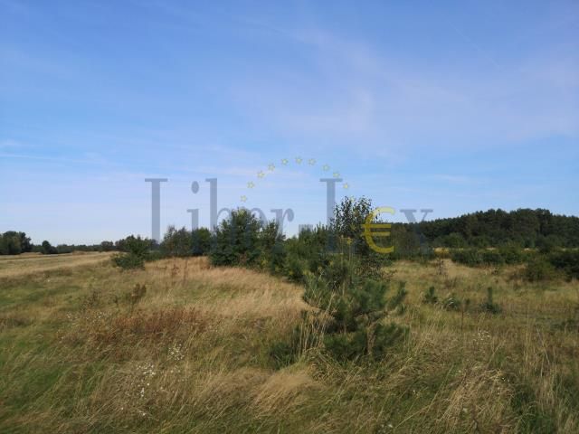 Działka rolna Szumlin. Zdjęcie 7