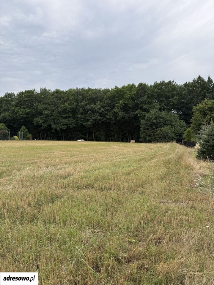 Działka budowlana Rybnik Niedobczyce, ul. Gruntowa. Zdjęcie 9
