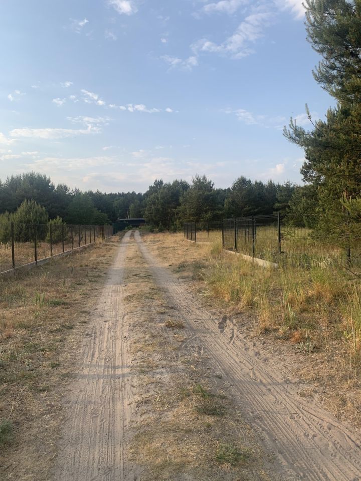 Działka budowlana Drzewce, ul. Drzewiecka. Zdjęcie 7