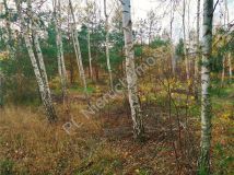 Działka budowlana Nowe Załubice, ul. Kościelna. Zdjęcie 1