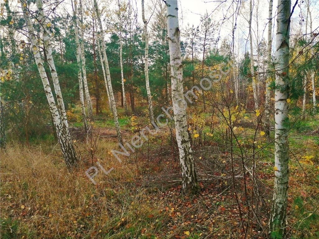 Działka budowlana Nowe Załubice, ul. Kościelna. Zdjęcie 2