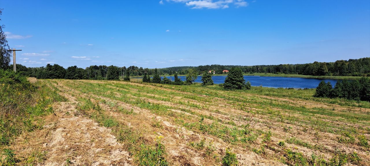 Działka rolna Cerkiewnik. Zdjęcie 4