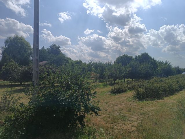 Działka rolno-budowlana Wojciechów-Kolonia Pierwsza. Zdjęcie 1