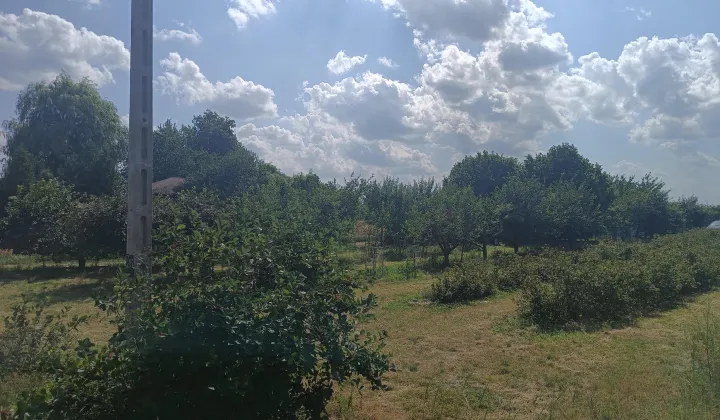 Działka rolno-budowlana Wojciechów-Kolonia Pierwsza