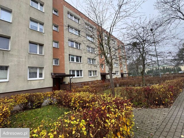 Mieszkanie 1-pokojowe Nowy Dwór Mazowiecki, ul. 29 Listopada. Zdjęcie 1