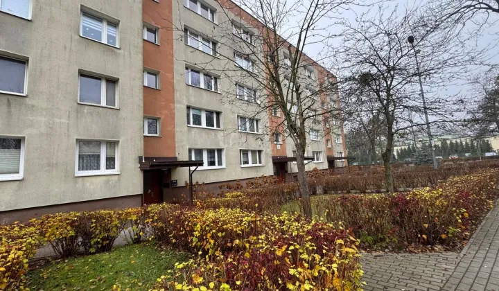 Mieszkanie 1-pokojowe Nowy Dwór Mazowiecki, ul. 29 Listopada