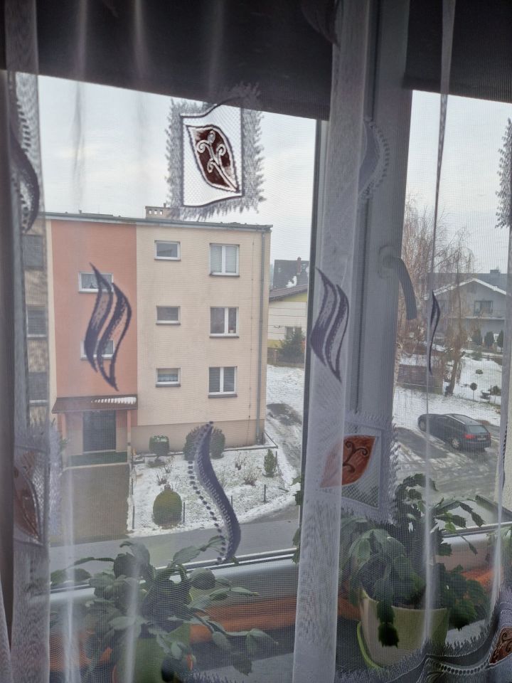 Mieszkanie 1-pokojowe Wojbórz. Zdjęcie 7