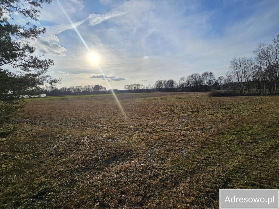 Działka rolna Kolonia Rozniszew. Zdjęcie 8