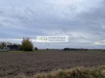 Działka budowlana Banino. Zdjęcie 4