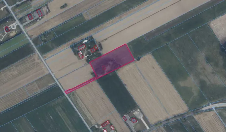 Działka rolna Chotynia