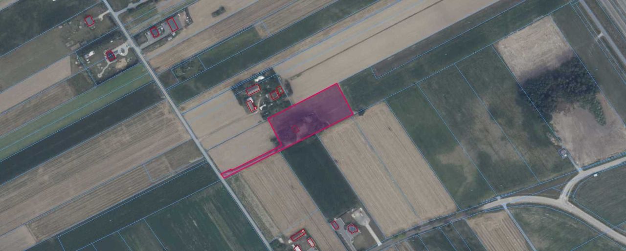 Działka rolna Chotynia. Zdjęcie 1