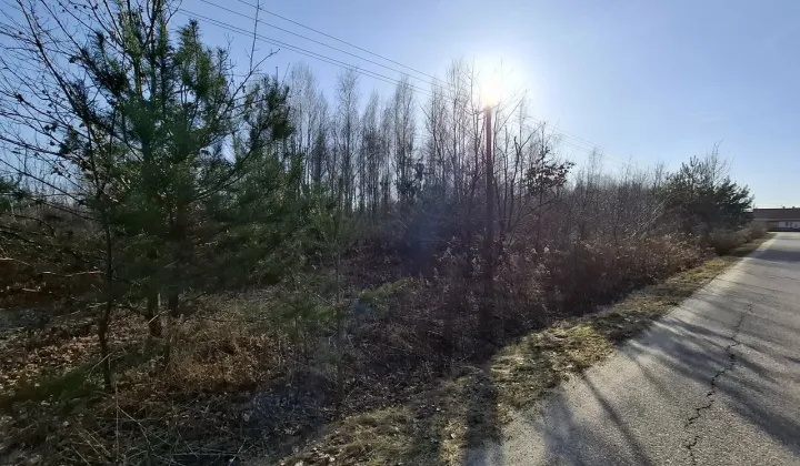 Działka budowlana Nieborów