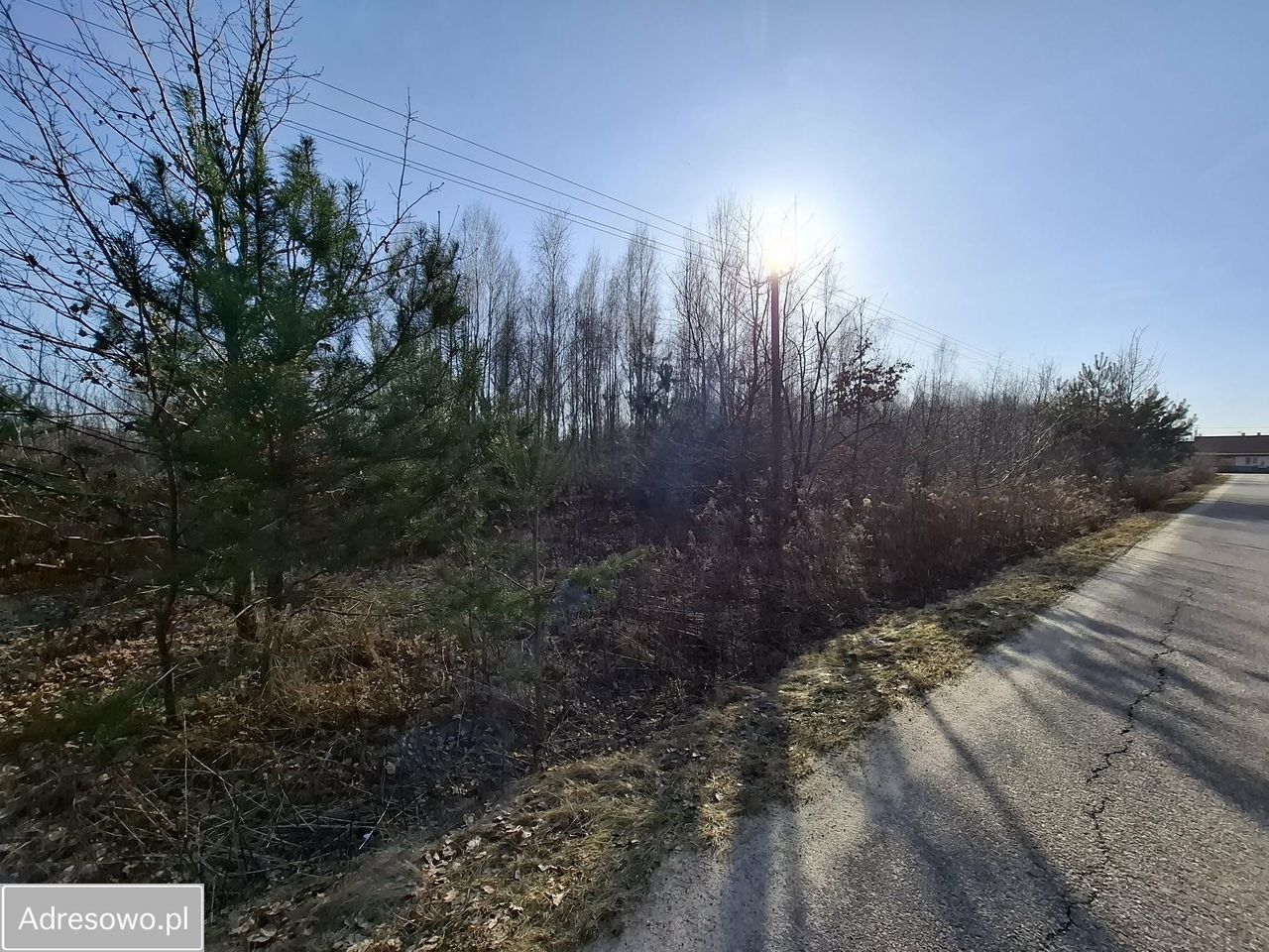 Działka budowlana Nieborów. Zdjęcie 1