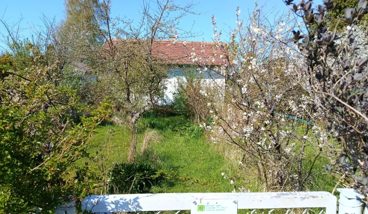 Działka rod Kołobrzeg
