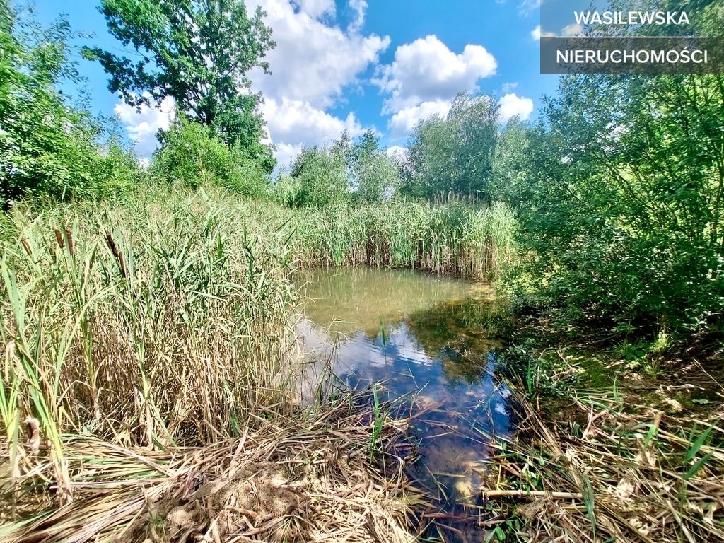 dom wolnostojący, 6 pokoi Michałowo. Zdjęcie 12