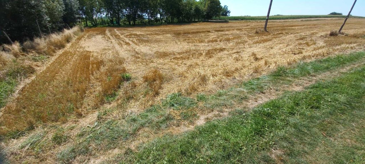 Działka rolno-budowlana Rozbórz. Zdjęcie 3