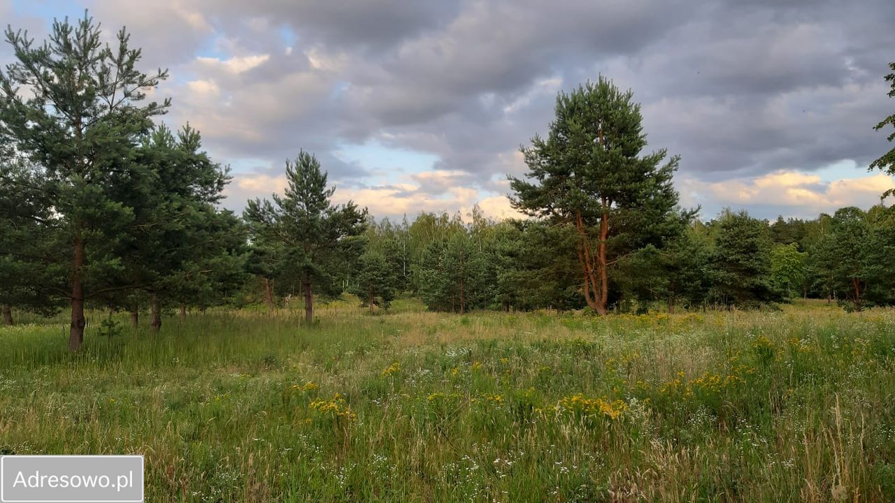 Działka budowlana Pojezierce. Zdjęcie 19