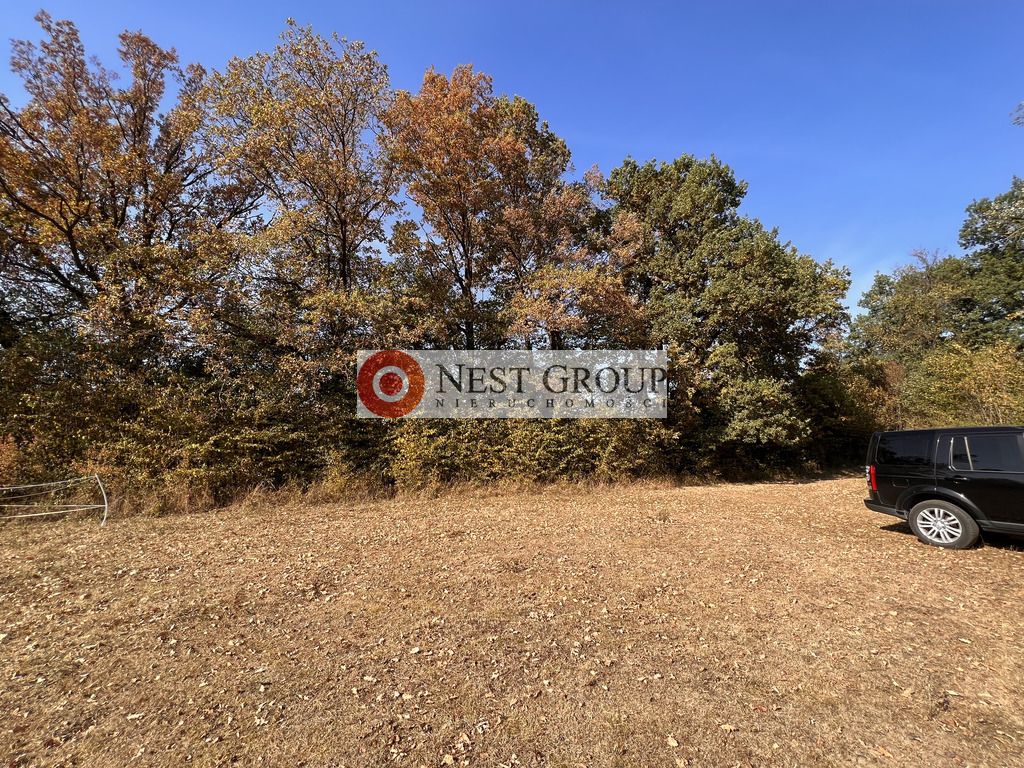 Działka inwestycyjna Skierdy, ul. Lipowa. Zdjęcie 8