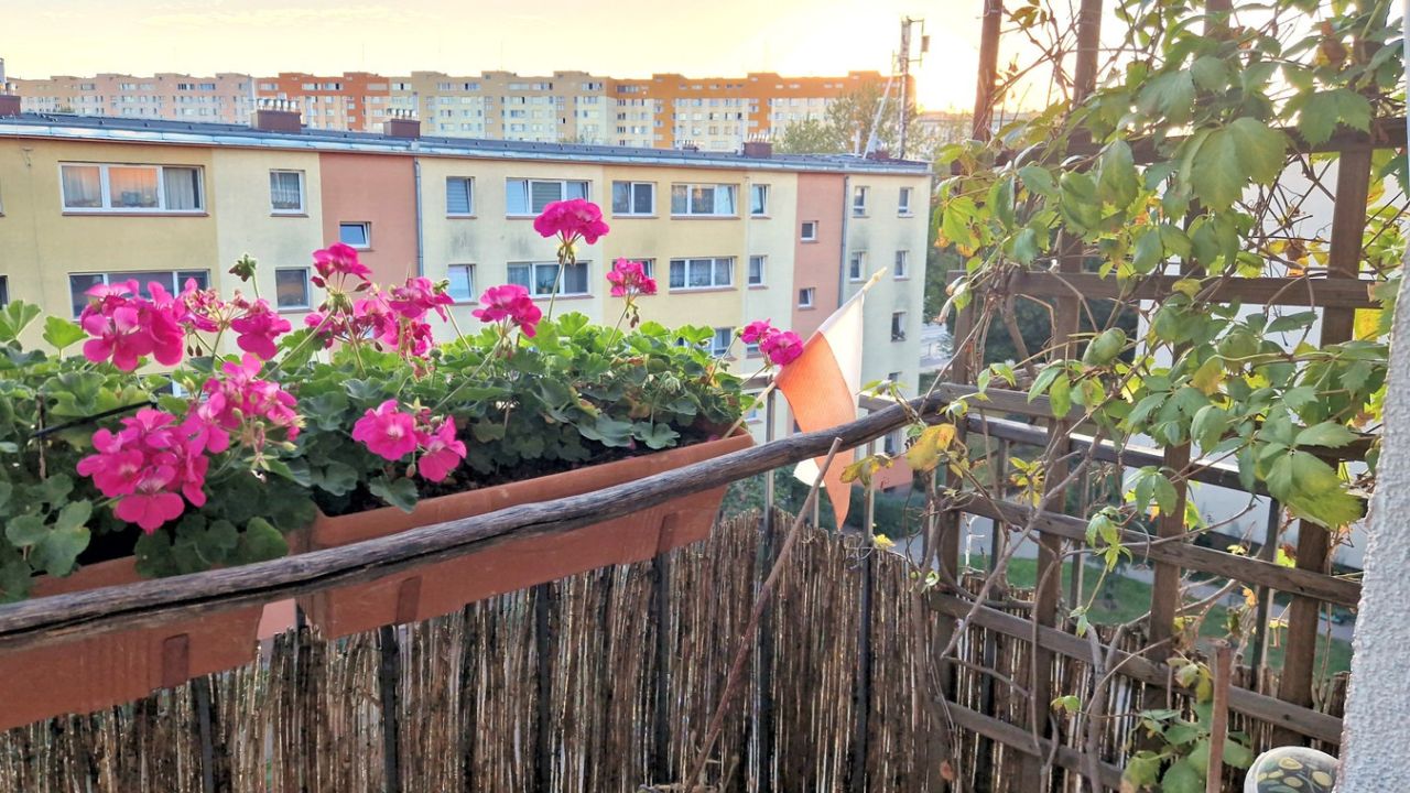 Mieszkanie 3-pokojowe Warszawa Bielany, ul. Jana Kasprowicza. Zdjęcie 5