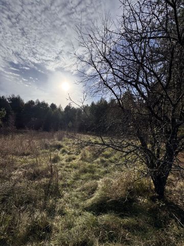 Działka rolno-budowlana Józefów. Zdjęcie 1