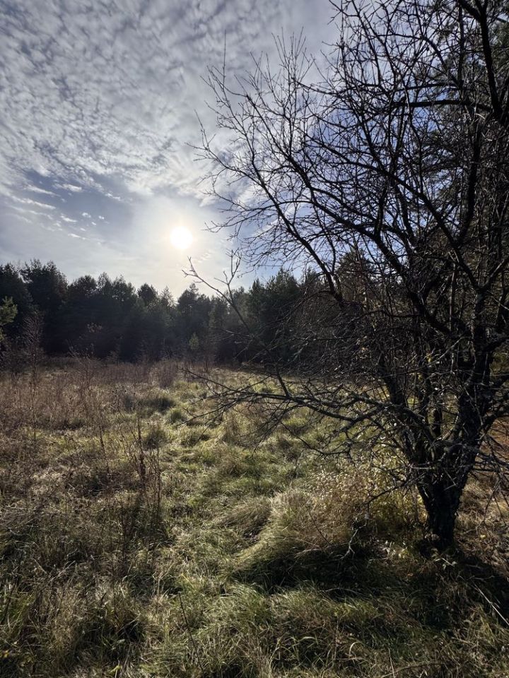 Działka rolno-budowlana Józefów
