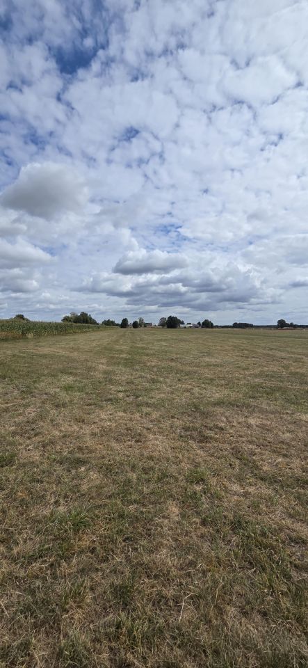 Działka rolna Pożarów. Zdjęcie 5