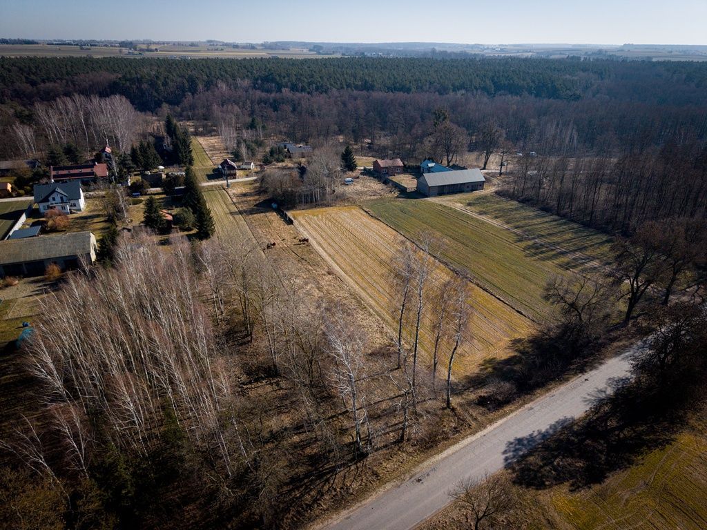 Działka budowlana Koziołki. Zdjęcie 1