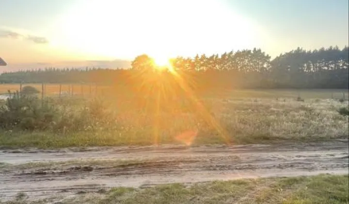 Działka budowlana Obrowo