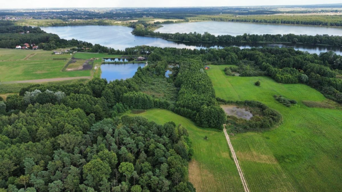 Działka rolna Kępa. Zdjęcie 4