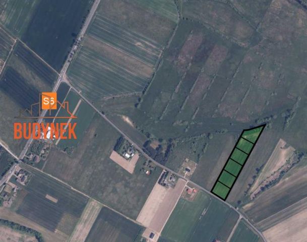 Działka rolna Niemica. Zdjęcie 5