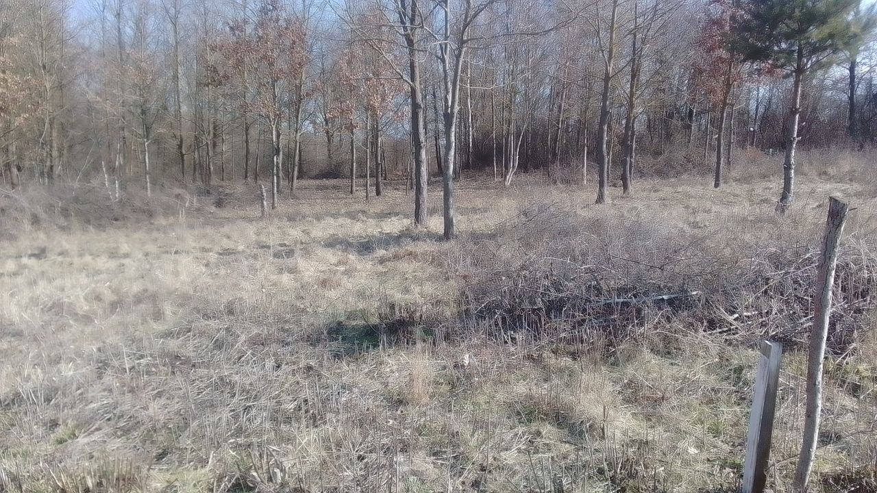 Działka budowlana Miedziana Góra Herby, ul. Górnicza. Zdjęcie 8