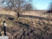 Działka budowlana Suszki. Zdjęcie 4