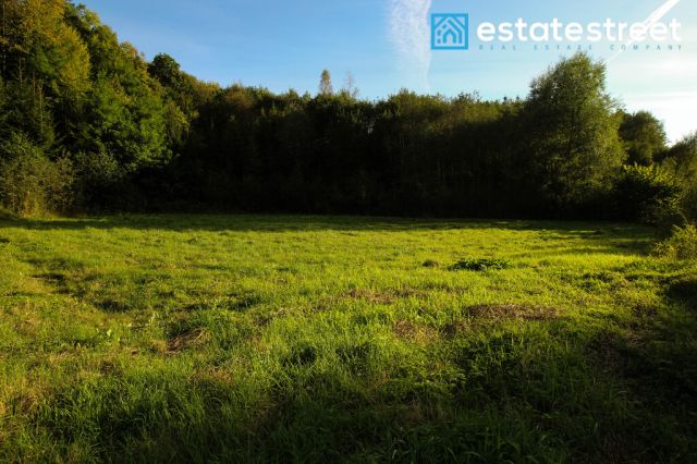 Działka rekreacyjna Drohobyczka. Zdjęcie 3