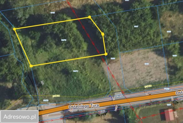 Działka rolno-budowlana Jaktorów, ul. Ostatniego Tura. Zdjęcie 1