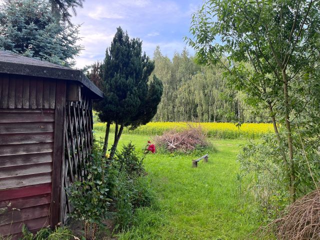 Działka rolna Łopatki. Zdjęcie 1