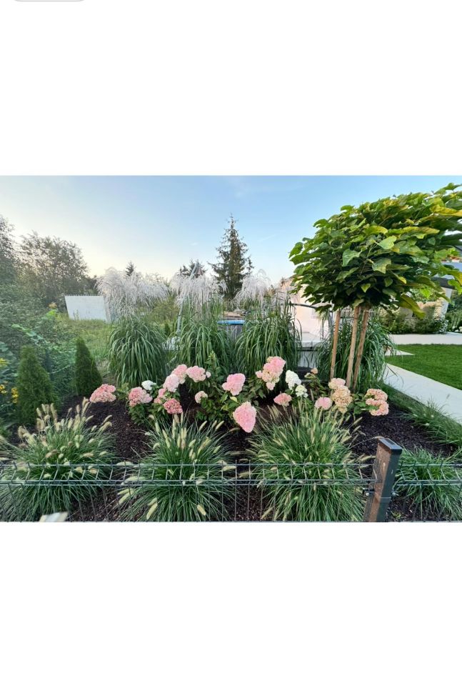 Działka rod Toruń Rudak, ul. Rudacka. Zdjęcie 9