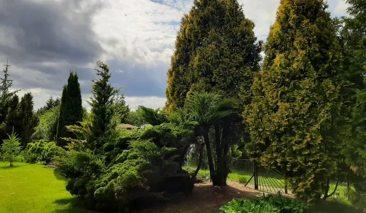 Działka rod Drzewce