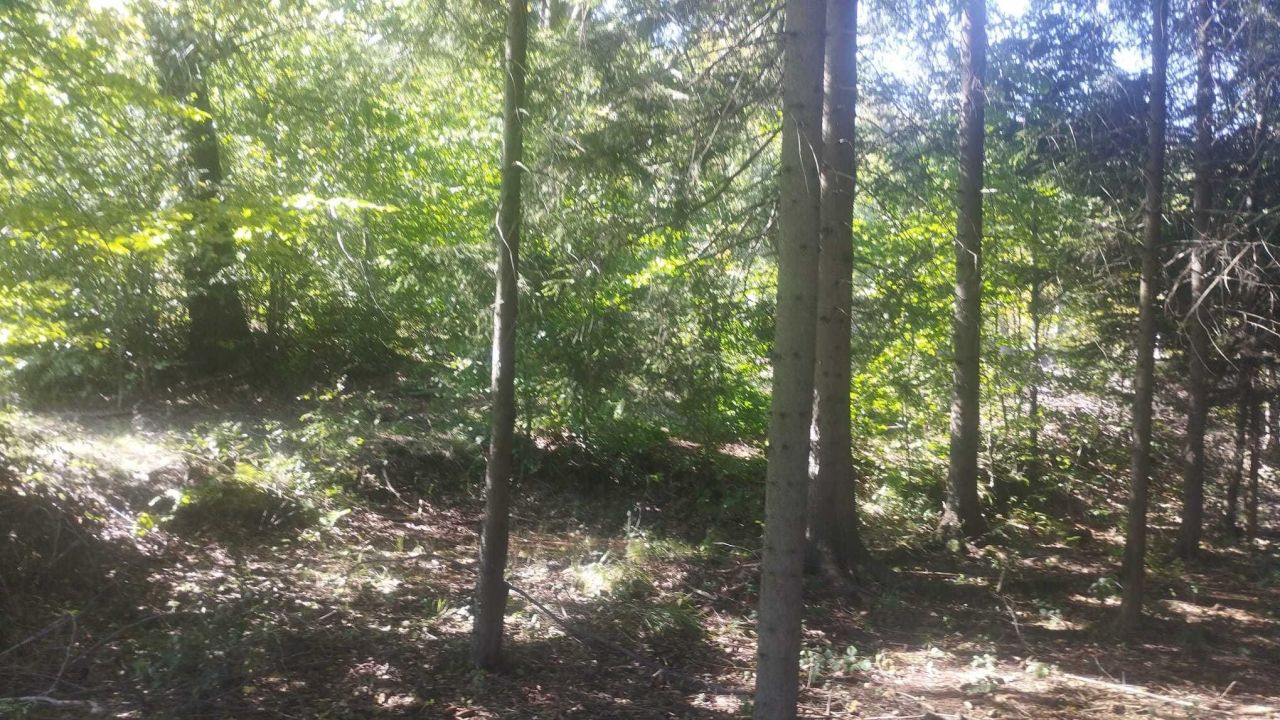 Działka rolna Jugowice. Zdjęcie 7