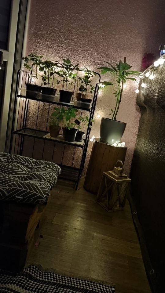 Mieszkanie 3-pokojowe Wodzisław Śląski, ul. kard. Stefana Wyszyńskiego. Zdjęcie 15