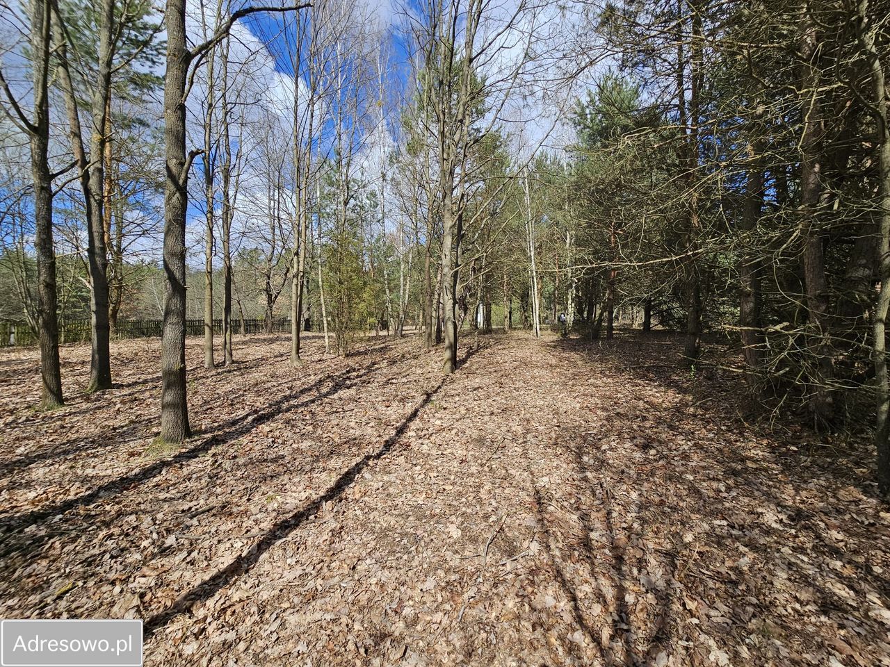 Działka budowlana Ignacówka Bobrowska. Zdjęcie 7