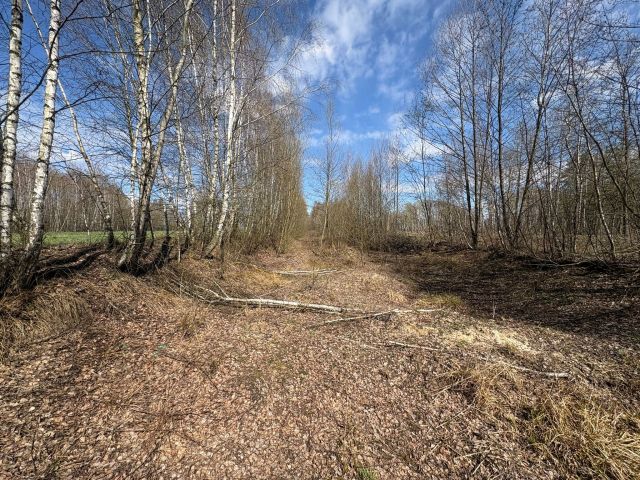 Działka rolna Komory, bez nazwy. Zdjęcie 1